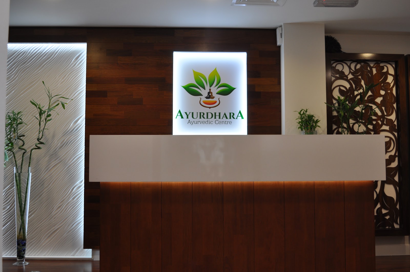 Ayurdhara Ayurvedic Centre — photo 1